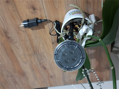 Peri Led Işık 5 Metre Beyaz  Dekor Lambası 50 Ledli