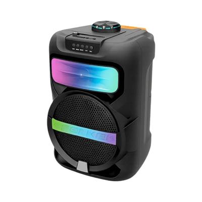 Platoon PL-4361 BT USB SD AUX 8 İNÇ Mikrofonlu Anfi Yüksek SES Taşınabilir RGB Işıklı Hoparlör (3936)