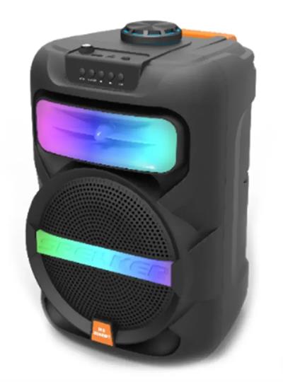 Platoon PL-4361 BT USB SD AUX 8 İNÇ Mikrofonlu Anfi Yüksek SES Taşınabilir RGB Işıklı Hoparlör (3936)