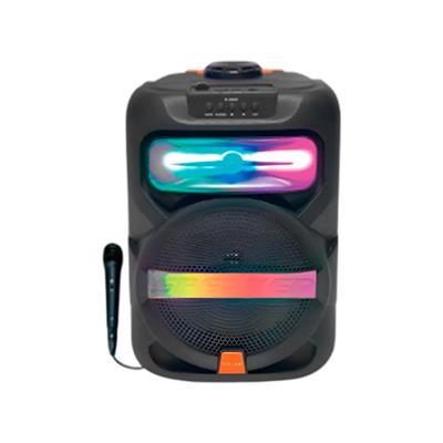 Platoon PL-4361 BT USB SD AUX 8 İNÇ Mikrofonlu Anfi Yüksek SES Taşınabilir RGB Işıklı Hoparlör (3936)