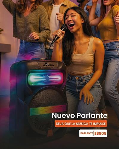 Platoon PL-4361 BT USB SD AUX 8 İNÇ Mikrofonlu Anfi Yüksek SES Taşınabilir RGB Işıklı Hoparlör (3936)