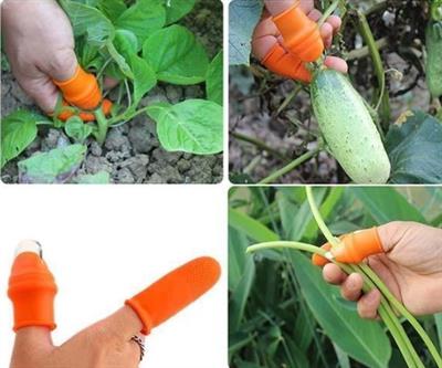 Pratik Baş Parmak Sebze Kesme Ayıklayıcı Erkek L Set (3936)