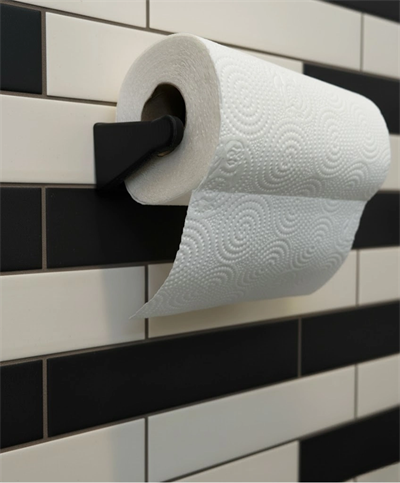 Pratik Kağıt Havlu Tutucu Duvar Tipi Peçete Askısı