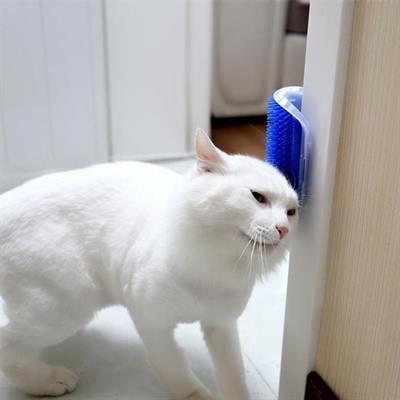 Pratik Kedi Tüyü Kaşıma Ve Tarama Aparatı Duvara Monte Kaşıma Aleti (3936)
