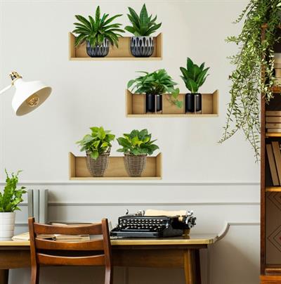 Raflı Bitki Tasarımlı Yapışkanlı Sticker 20*30 cm 3lü Set (3936)