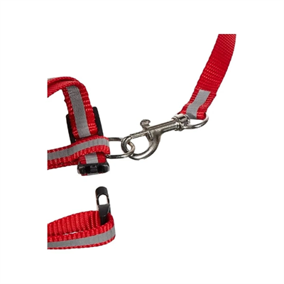 Reflektörlü Kedi Gezdirme Tasması