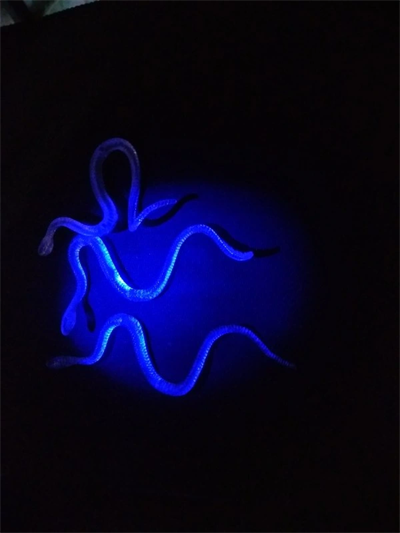 Şaka Yılan Ve Kırkayak Karışık 36 Adet