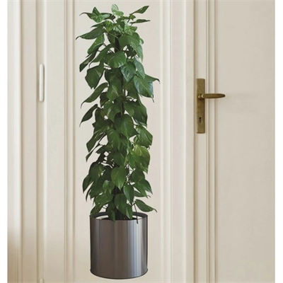 Saksılı Bitki Tasarımlı Yapışkanlı Sticker Resim 90*30 Cm Bx40