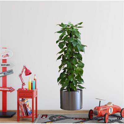 Saksılı Bitki Tasarımlı Yapışkanlı Sticker Resim 90*30 cm (3936)