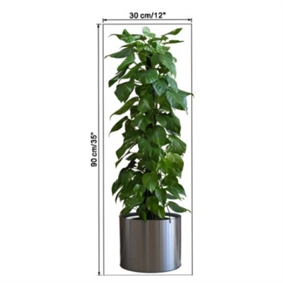 Saksılı Bitki Tasarımlı Yapışkanlı Sticker Resim 90*30 Cm Bx40