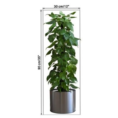 Saksılı Bitki Tasarımlı Yapışkanlı Sticker Resim 90*30 cm (3936)