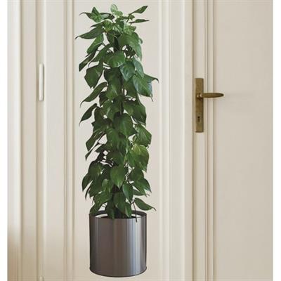 Saksılı Bitki Tasarımlı Yapışkanlı Sticker Resim 90*30 cm (3936)