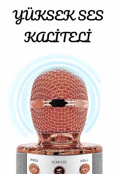 Şarjlı ve Uzun Pil Ömürlü Karaoke Mikrofon USB Bellek Destekli, Profesyonel Ses