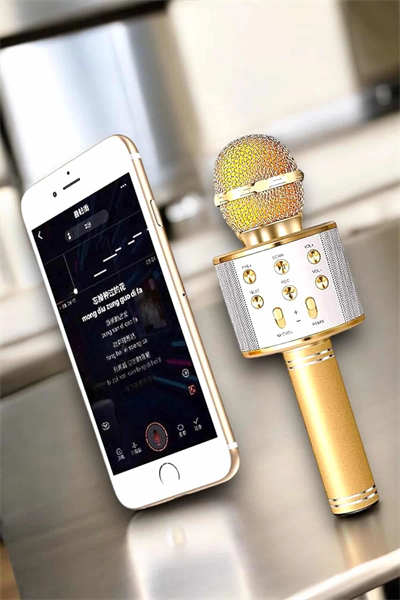 Şarjlı ve Uzun Pil Ömürlü Karaoke Mikrofon USB Bellek Destekli, Profesyonel Ses