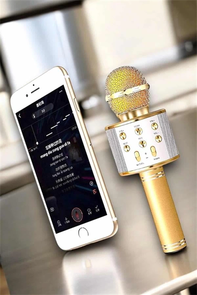 Şarjlı ve Uzun Pil Ömürlü Karaoke Mikrofon USB Bellek Destekli, Profesyonel Ses