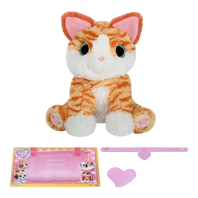 Scruff A Luvs Klasik Seri Sürpriz Kutu CRU10000