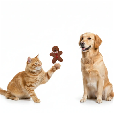 Sesli Bisküvi Adam Isırma Oyuncağı