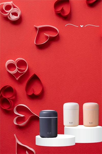 Sevgiliye Hediye Led Işıklı Hava Nemlendirici USB Şarjlı Sevgiliye Özel