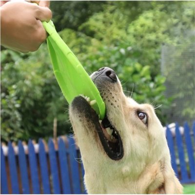 Silikon Frizbi Köpek Oyuncağı