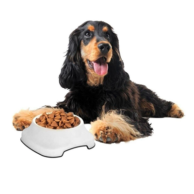 Silikon Kaydırmaz Taban Plastik Kedi Ve Köpek Mama Ve Su Kabı 2 L Bx40