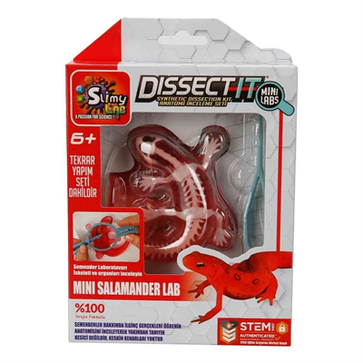 Slimy Dissect it Mini Labaratuvar