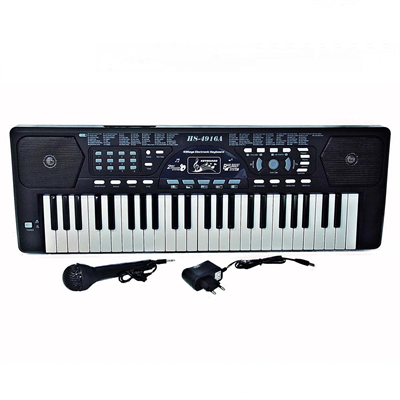 Sunman Eccho Org Mikrofonlu 49 Tuşlu S00054916