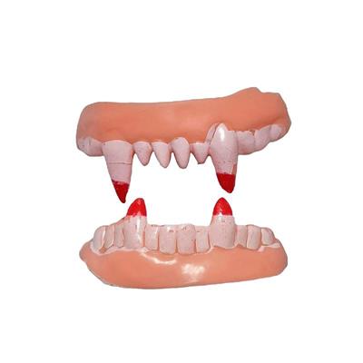 Takma Vampir Dişi 2 Adet vampir ve seyrek model (3936)