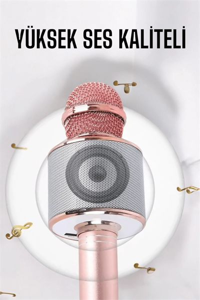 Taşınabilir Bluetooth Karaoke Mikrofon: Hafıza Kart Girişli, Etkileyici Performans