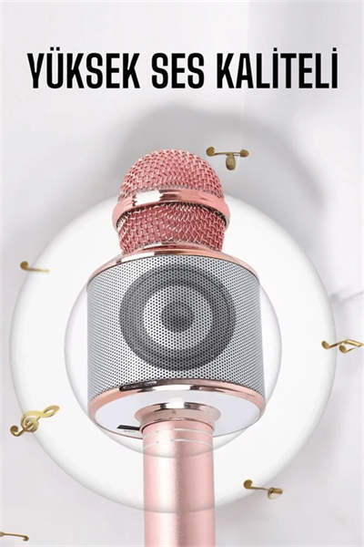 Taşınabilir Bluetooth Karaoke Mikrofon: Hafıza Kart Girişli, Etkileyici Performans