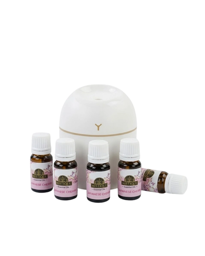 Taşınabilir Hava Nemlendirici LED Gece Işıklı USB Difüzör 5 Esans