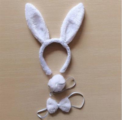 Tavşan Kostüm Seti Taç Papyon Kuyruk Beyaz Renk (3936)