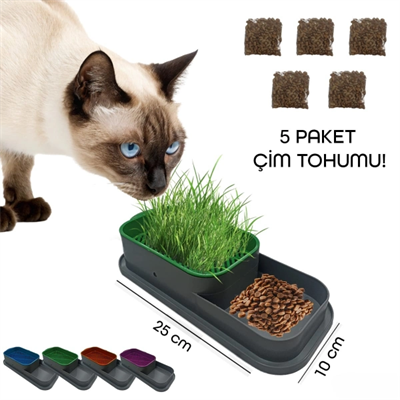 Topraksız Kedi Çimi Kabı