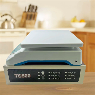 TS-500 Dijital Terazi - LCD Ekran, Dara Alma, Sayım Fonksiyonlu, Yüksek Hassasiyetli Tartım Cihazı