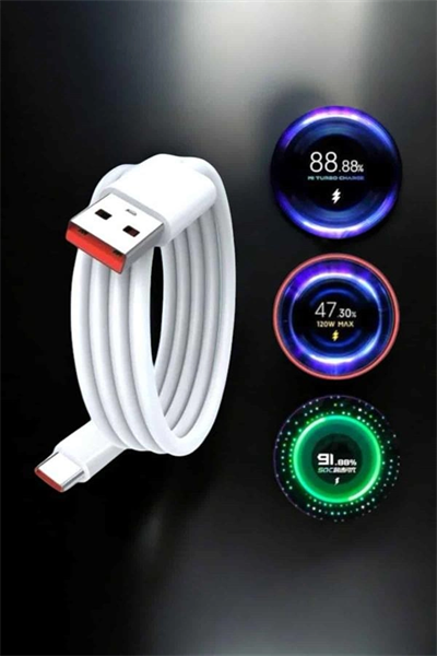Type-C 120W Şarj Aleti Hızlı Şarj Turbo Yeni Nesil