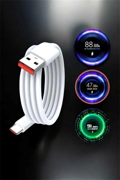 Type-C 120W Şarj Aleti Hızlı Şarj Turbo