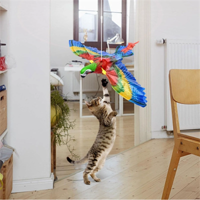 Uçan Papağan Kedi Oyuncağı