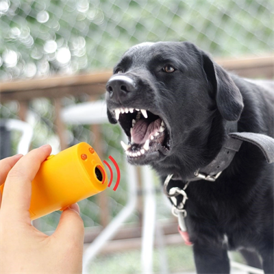 Ultrasonik Köpeksavar Köpek Kovucu Köpek Kornası Eğitim Cihazı Bx40