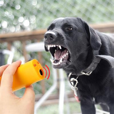 Ultrasonik Köpeksavar Köpek Kovucu Köpek Kornası Eğitim Cihazı (3936)