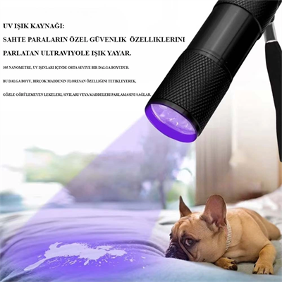 Ultraviole Para Kontrol Işığı Wt-302