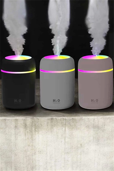 Ultrosonik Buharlı Hava Temizleyici Hava Nemlendirici Taşınabilir