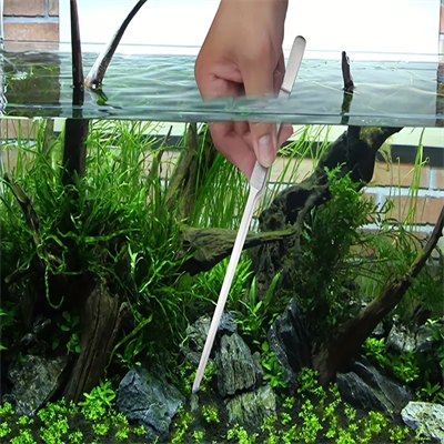 Uzun 30 Cm Çelik Cımbız - Akvaryum Maşası