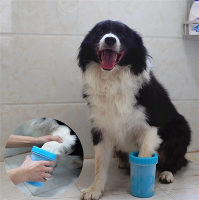 Welfare Köpek Pati Yıkama Aparatı Küçük Bx40