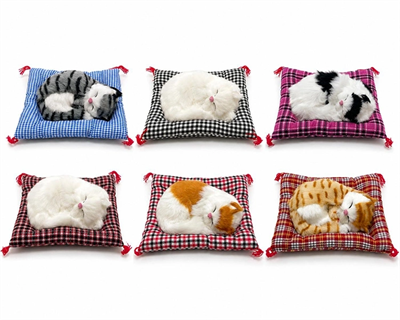 Yastıkta Uyuyan Kedi Sesli Alk24