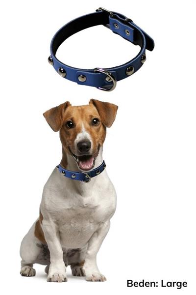 Yumuşak Dokulu Deri Köpek Gezdirme Boyun Tasması (Large) (3936)