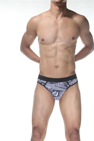 Zebra Desenli Erkek Tangası