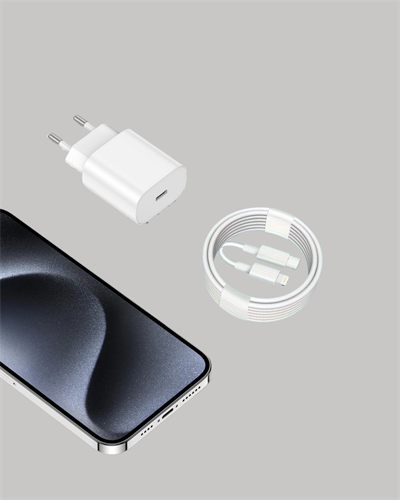 iOS Uyumlu 20W USB-C Hızlı Şarj Cihazı Telefon ve Tablet İçin