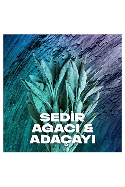 2 Adet Axe Erkek Sprey Deodorant Apollo 48 Saat Etkileyici Koku Vücut Spreyi 150 ml