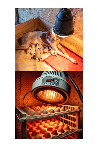 250W Kızılötesi (infrared) Isıtıcılı Hayvan Isıtma ve Kuluçka Lambası (Kırmızı Işık) E27
