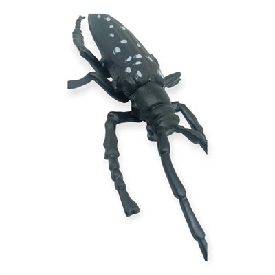Böcek Figürleri - Gerçekçi Figür - Turunçgil Uzun Boynuzlu Böceği 18 cm