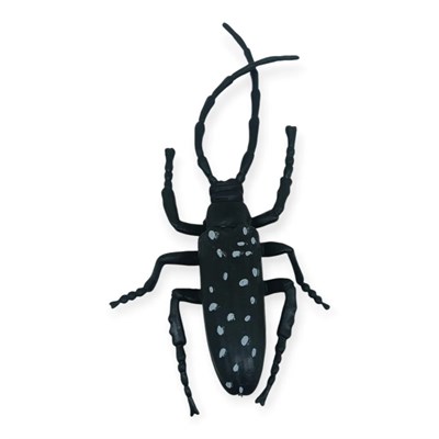 Böcek Figürleri - Gerçekçi Figür - Turunçgil Uzun Boynuzlu Böceği 18 cm